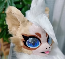Fursuit 101: Everything You Need to Know Before Getting One